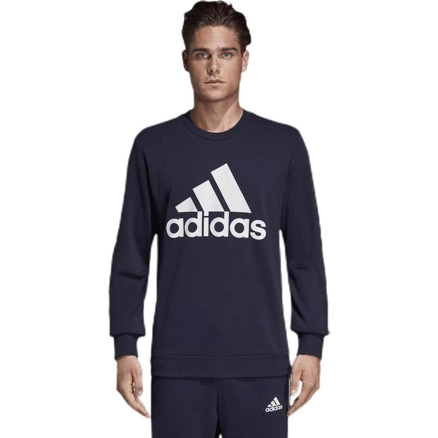 Must Have Fitted Crew Blue