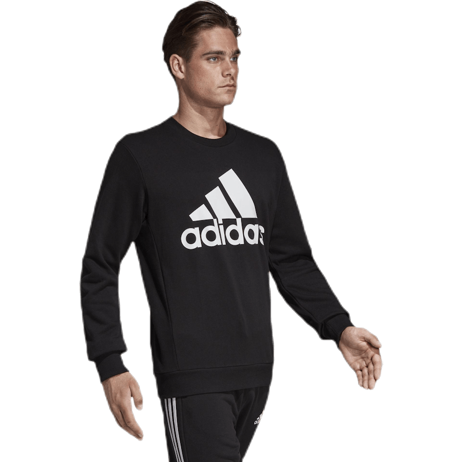 Must Have Fitted Crew White/Black