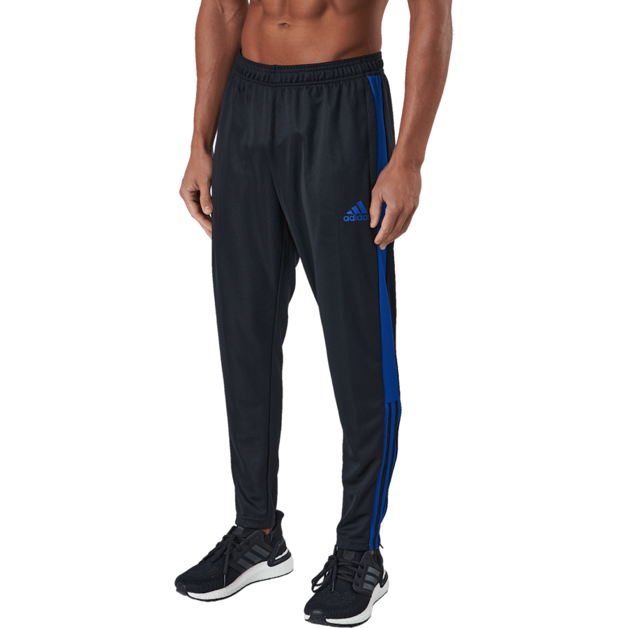 Tiro Tr Pnt Es Black/royblu