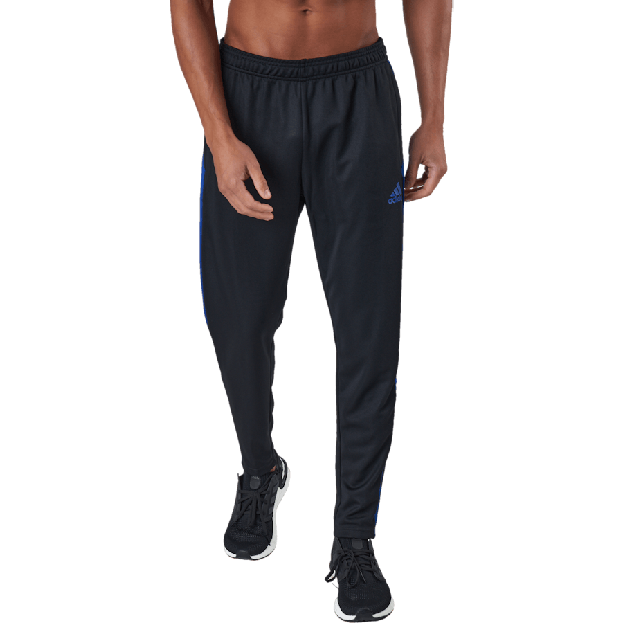 Tiro Tr Pnt Es Black/royblu