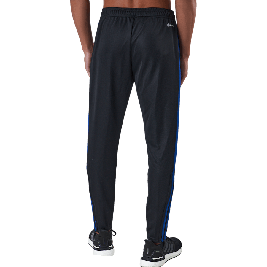 Tiro Tr Pnt Es Black/royblu