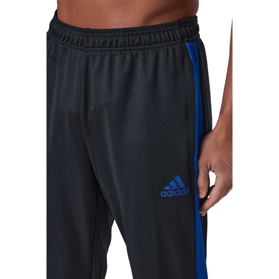 Tiro Tr Pnt Es Black/royblu